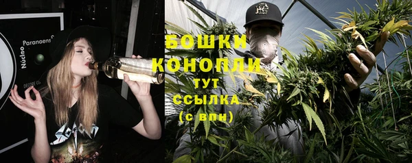 МДПВ Белокуриха